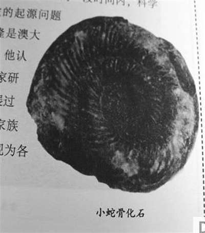 科普书被指错误百出业内抱怨出版混乱难以监管