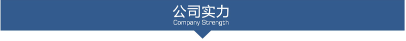 公司实力